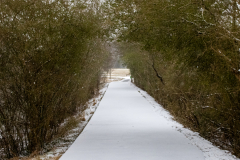 Alexander-Park-Snow-014