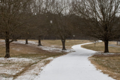 Alexander-Park-Snow-019