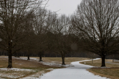 Alexander-Park-Snow-020