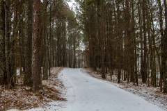 Alexander-Park-Snow-021