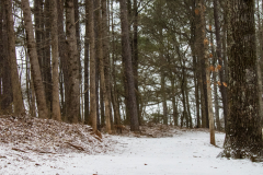 Alexander-Park-Snow-040