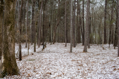 Alexander-Park-Snow-057