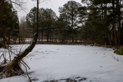 Alexander-Park-Snow-062