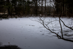 Alexander-Park-Snow-067