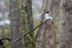 Alexander-Park-Snow-082