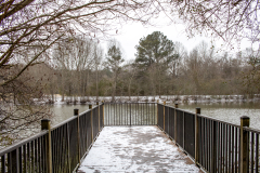 Alexander-Park-Snow-112