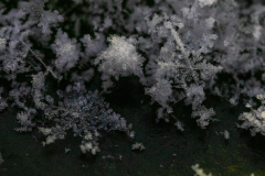Snowflakes-Macro-05
