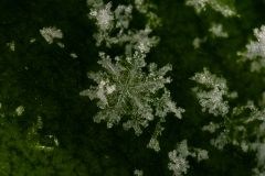 Snowflakes-Macro-14