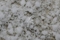 Snowflakes-Macro-26