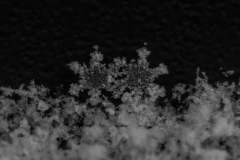 Snowflakes-Macro-33