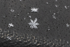Snowflakes-Macro-34