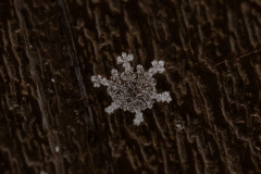 Snowflakes-Macro-44