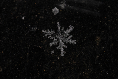 Snowflakes-Macro-52