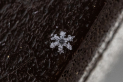 Snowflakes-Macro-62