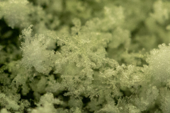 Snowflakes-Macro-65