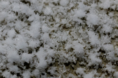 Snowflakes-Macro-66