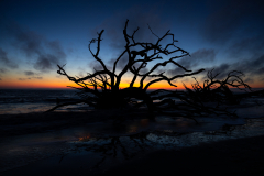 Driftwood-Beach-Sunrise-002