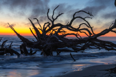 Driftwood-Beach-Sunrise-003