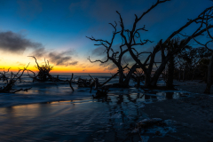 Driftwood-Beach-Sunrise-011