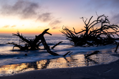 Driftwood-Beach-Sunrise-014