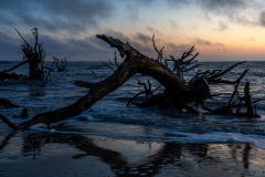 Driftwood-Beach-Sunrise-017