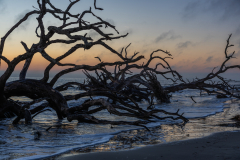 Driftwood-Beach-Sunrise-020