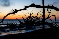 Driftwood-Beach-Sunrise-027