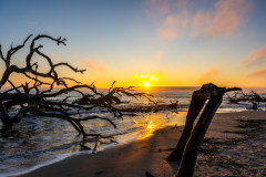 Driftwood-Beach-Sunrise-032