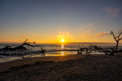 Driftwood-Beach-Sunrise-033