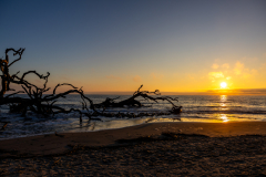 Driftwood-Beach-Sunrise-034