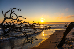 Driftwood-Beach-Sunrise-036