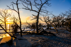 Driftwood-Beach-Sunrise-049