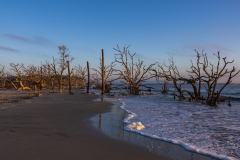 Driftwood-Beach-Sunrise-065