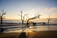 Driftwood-Beach-Sunrise-067