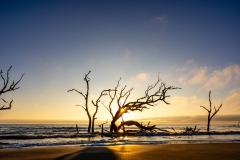 Driftwood-Beach-Sunrise-069