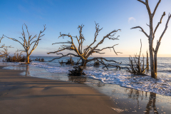 Driftwood-Beach-Sunrise-070