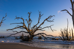 Driftwood-Beach-Sunrise-072