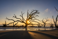 Driftwood-Beach-Sunrise-074
