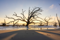Driftwood-Beach-Sunrise-075