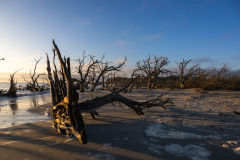 Driftwood-Beach-Sunrise-086