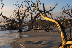 Driftwood-Beach-Sunrise-090