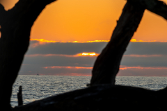 Driftwood-Beach-Sunrise-128