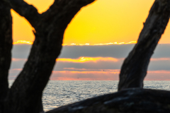 Driftwood-Beach-Sunrise-132