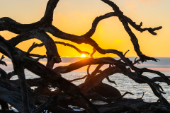 Driftwood-Beach-Sunrise-138