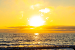 Driftwood-Beach-Sunrise-141