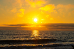 Driftwood-Beach-Sunrise-142