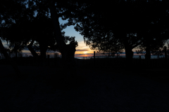 Jekyll-Island-Day-2-106