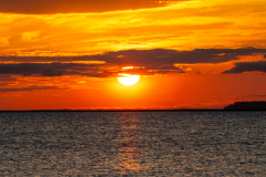 Jekyll-Island-Day-2-317