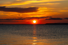 Jekyll-Island-Day-2-321