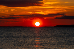 Jekyll-Island-Day-2-323